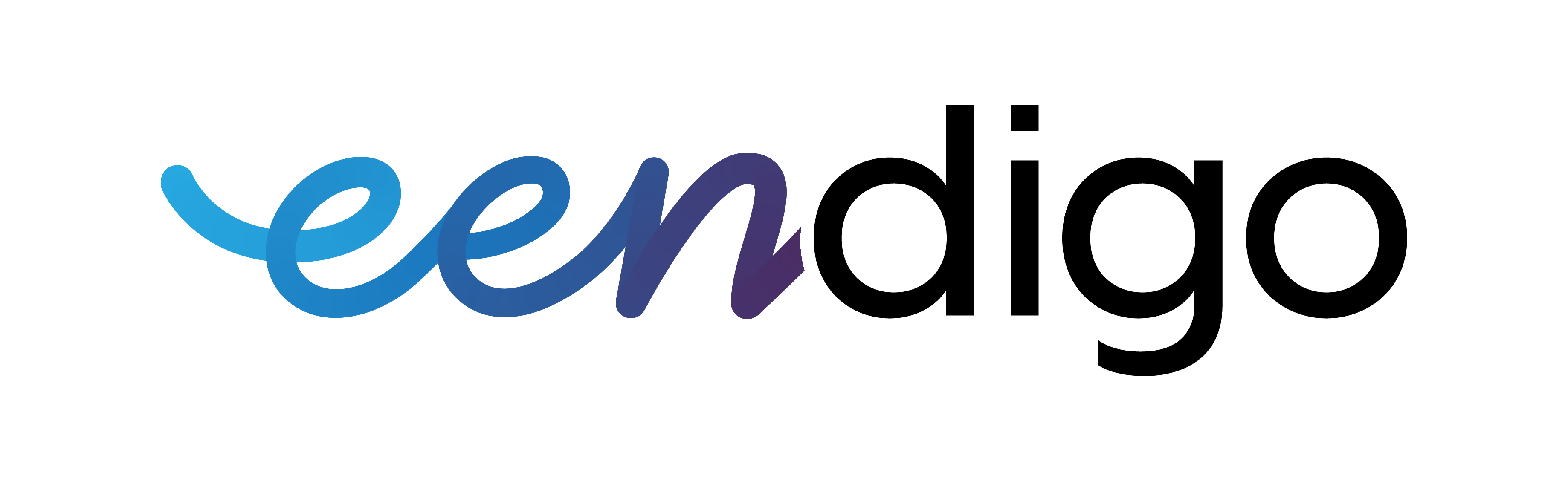 About us eendigo profile company